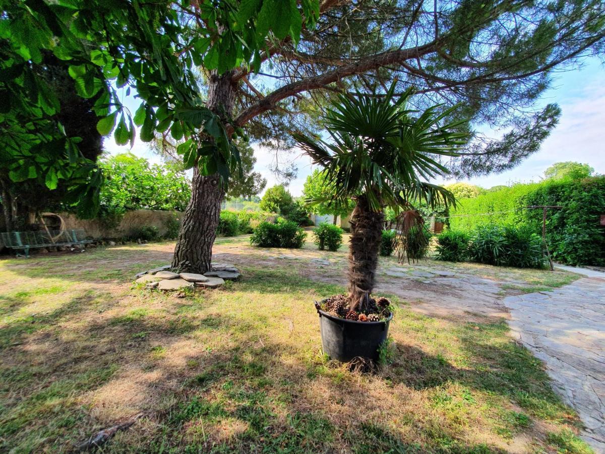 Apartamento Les Jardins De La Majore Carcasona