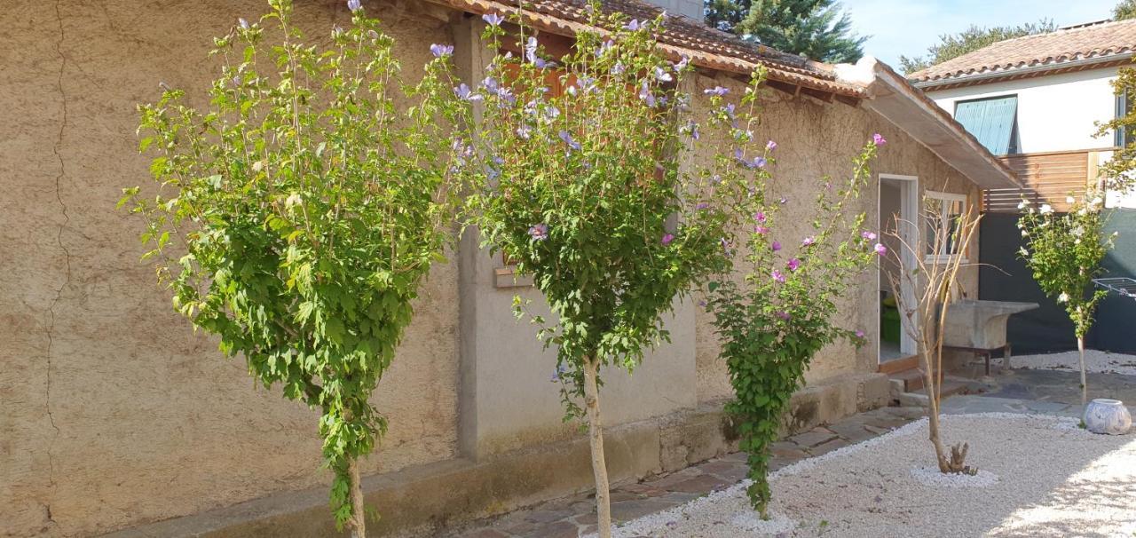 Les Jardins De La Majore * Carcasona